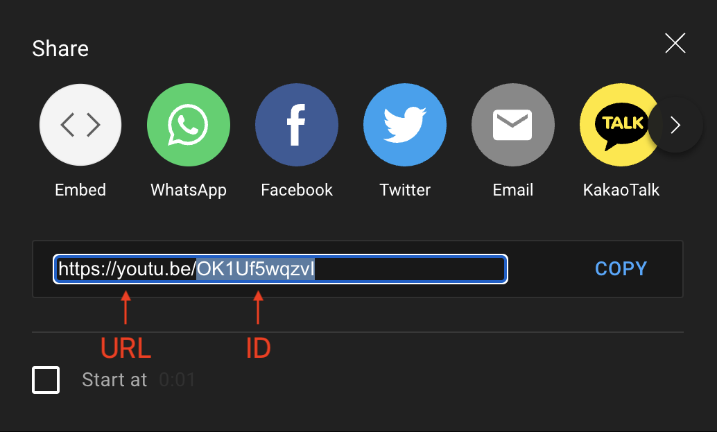 YouTube Video ID