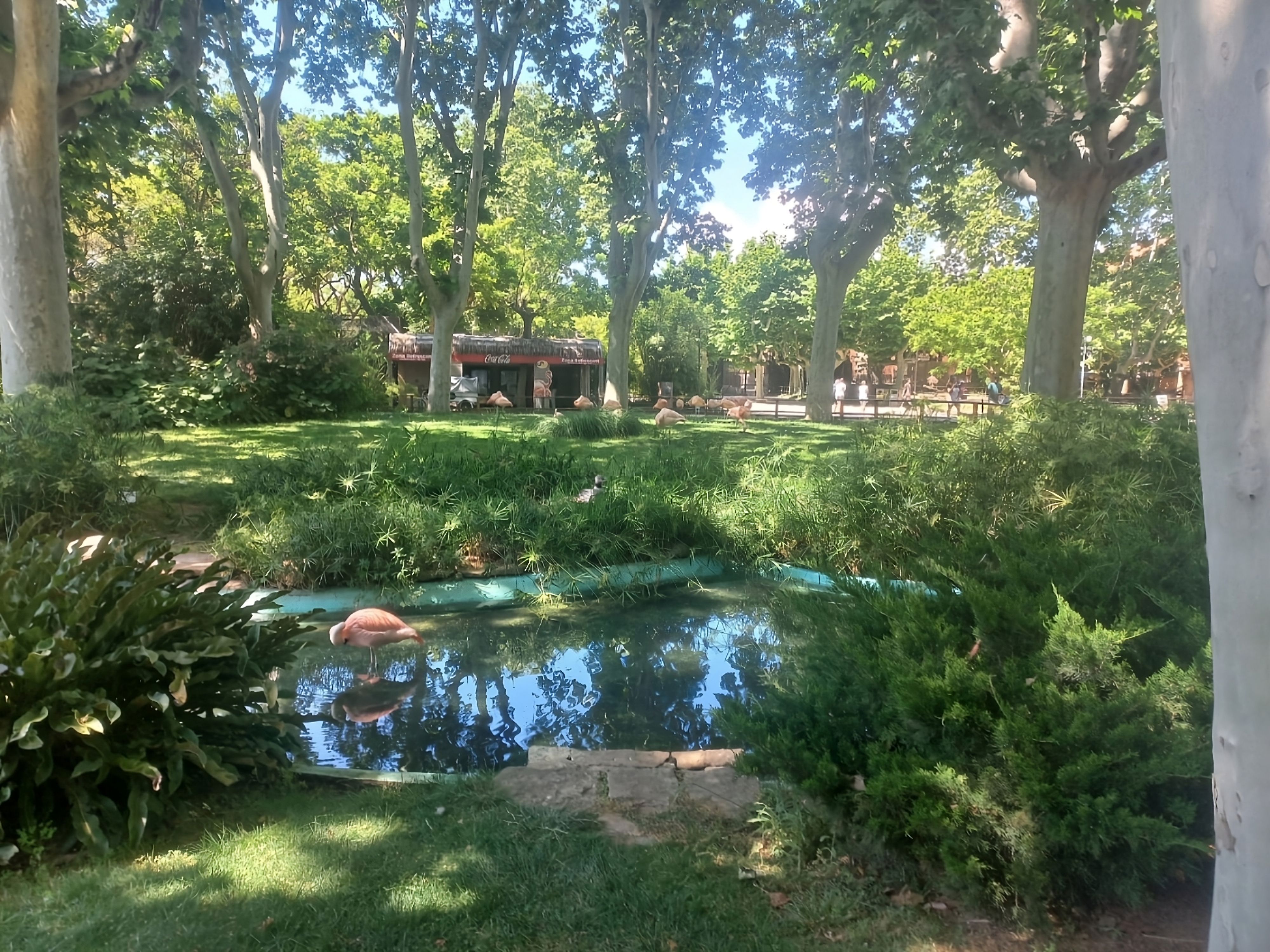 Besuch des Barcelona Zoos