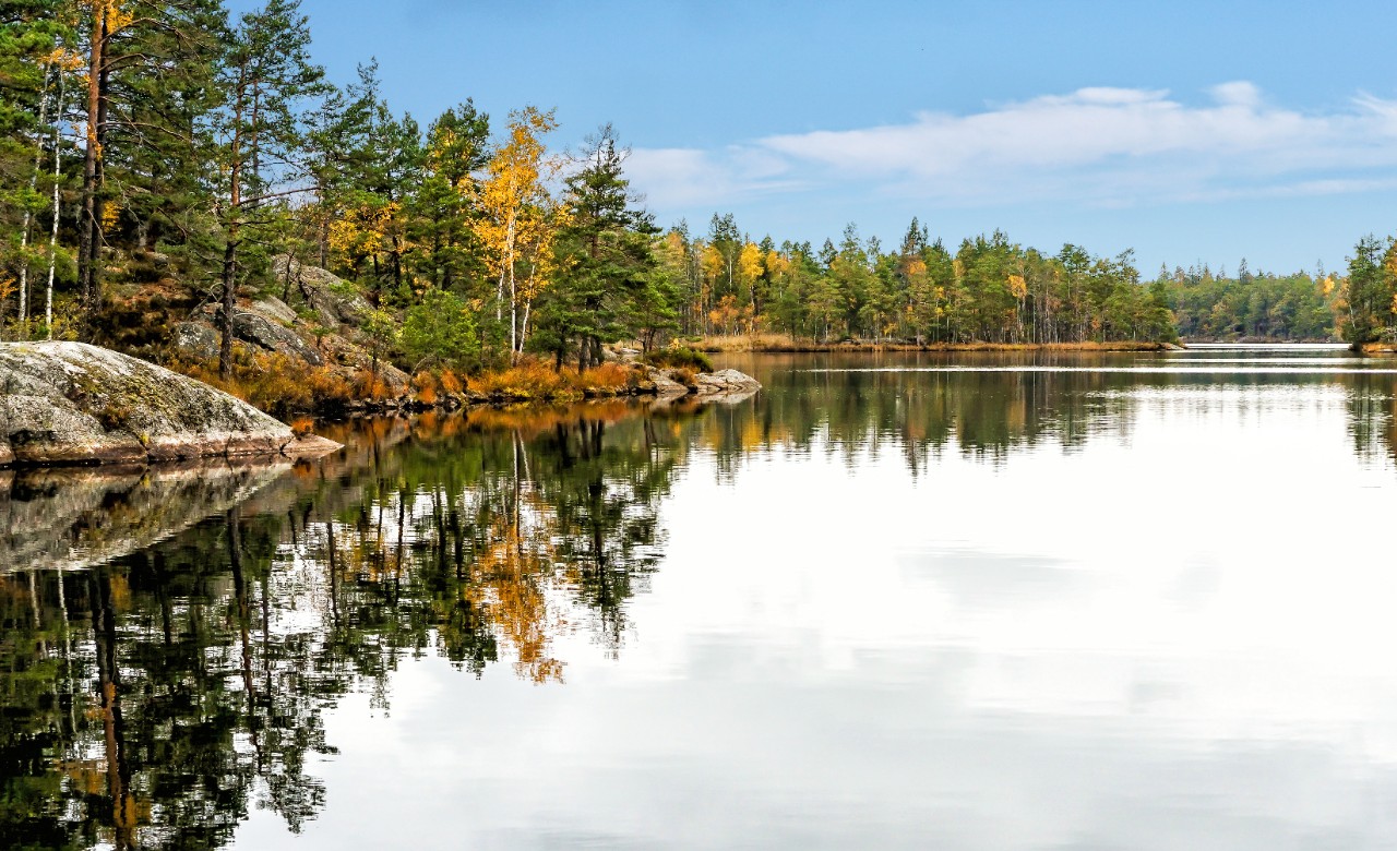 Faszination nordischer Urwald: der Tyresta Nationalpark